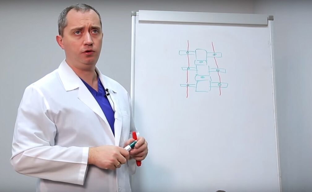 Den Dokter weist d'Struktur vun der Wirbelsäule